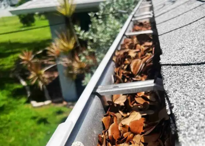 Lenox gutter cleaning home page